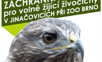 Zoo v Jinačovicích otevírá záchrannou stanici pro raněná zvířata