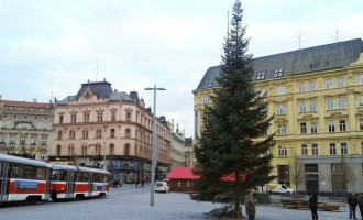 Vánoce jsou za dveřmi. Na Svoboďáku už stojí vánoční strom