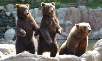 Zoo otevřela sezónní vstup