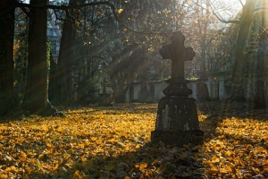 Správa hřbitovů zrekonstruovala své kanceláře. Lidé tu nově zaplatí i kartou