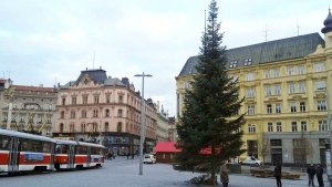 Brno už má svůj vánoční strom, je jím 16 metrů vysoká jedle ojíněná. 